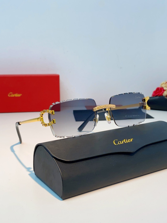 CARTIER SUNGLASSES-59