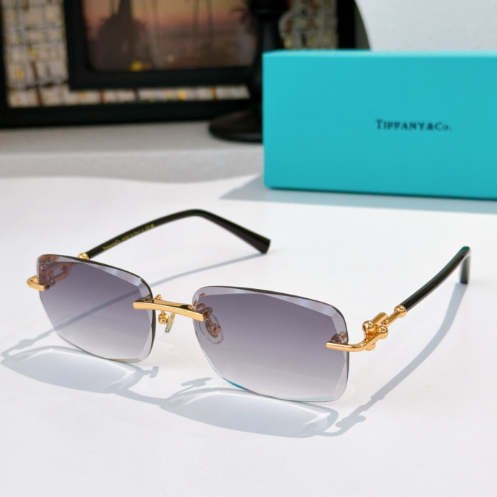 TIFFANY&CO SUNGLASSES-051