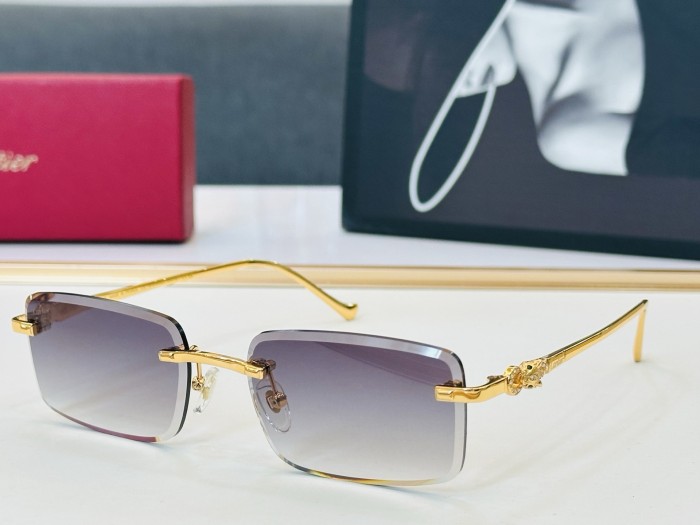 CARTIER SUNGLASSES-051
