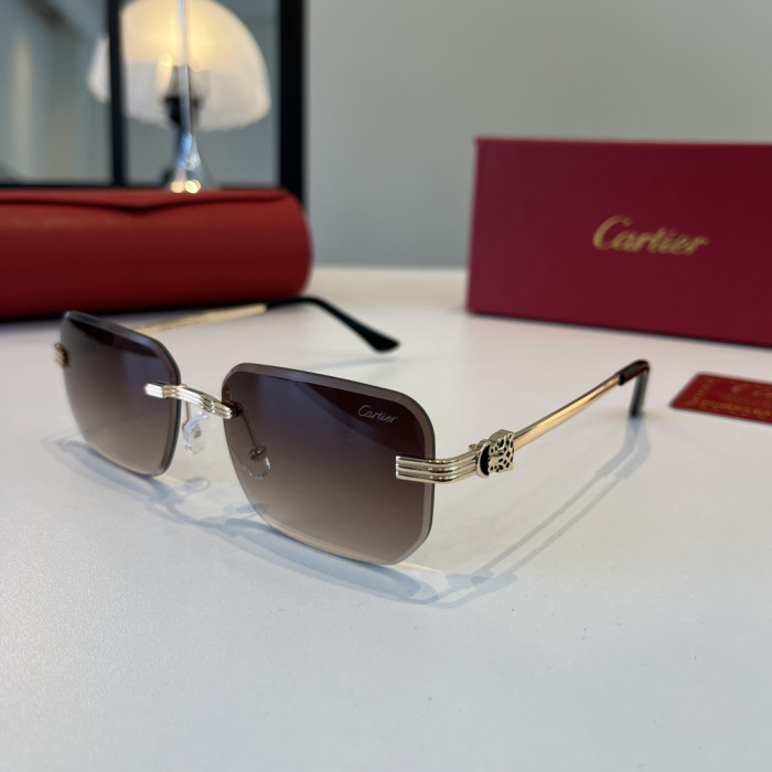 CARTIER SUNGLASSES-59