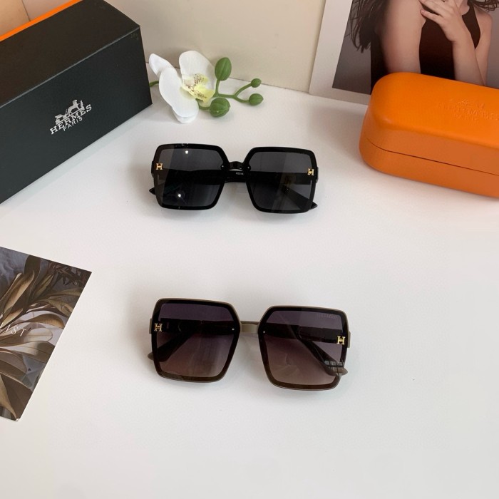 HERMES SUNGLASSES-58