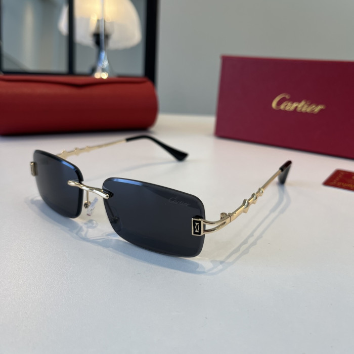 CARTIER SUNGLASSES-59