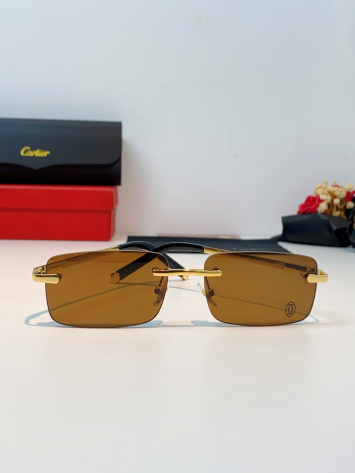 CARTIER SUNGLASSES-59