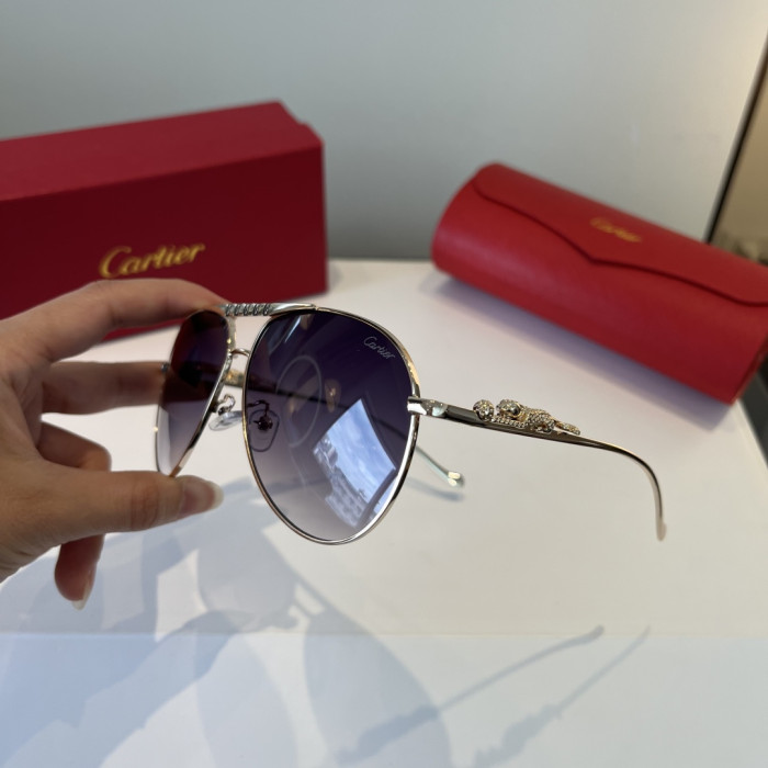 CARTIER SUNGLASSES-59