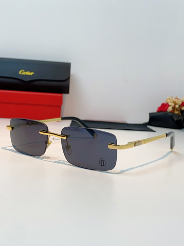 CARTIER SUNGLASSES-59