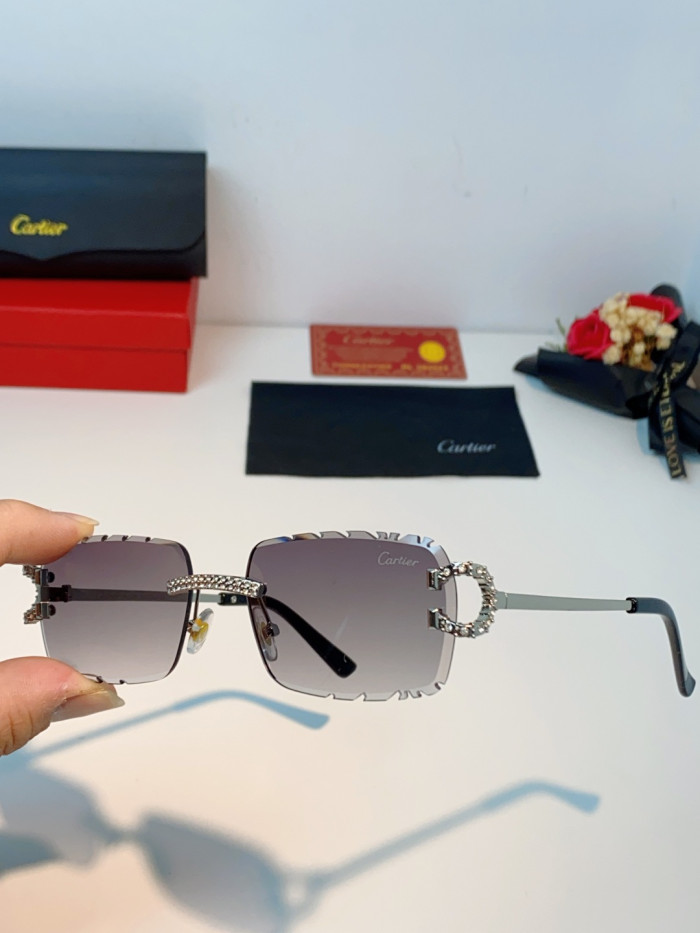 CARTIER SUNGLASSES-59
