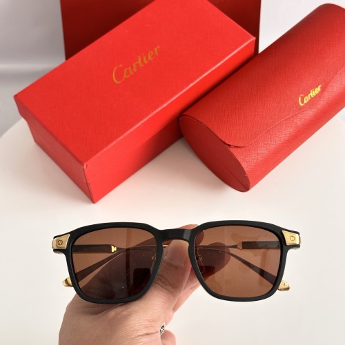 CARTIER SUNGLASSES-051