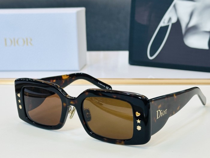 DIOR SUNGLASSES-041