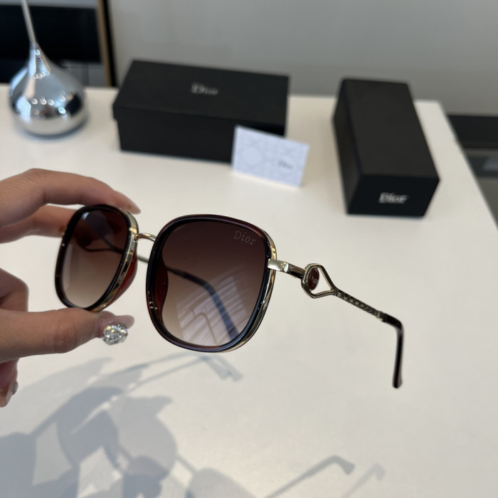 DIOR SUNGLASSES-59