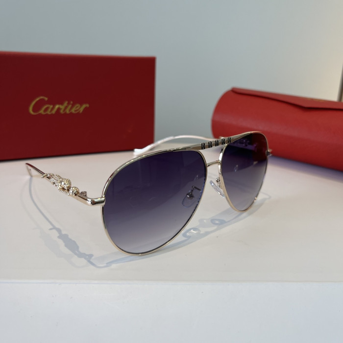 CARTIER SUNGLASSES-59