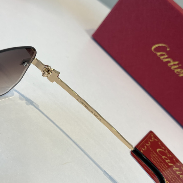 CARTIER SUNGLASSES-59