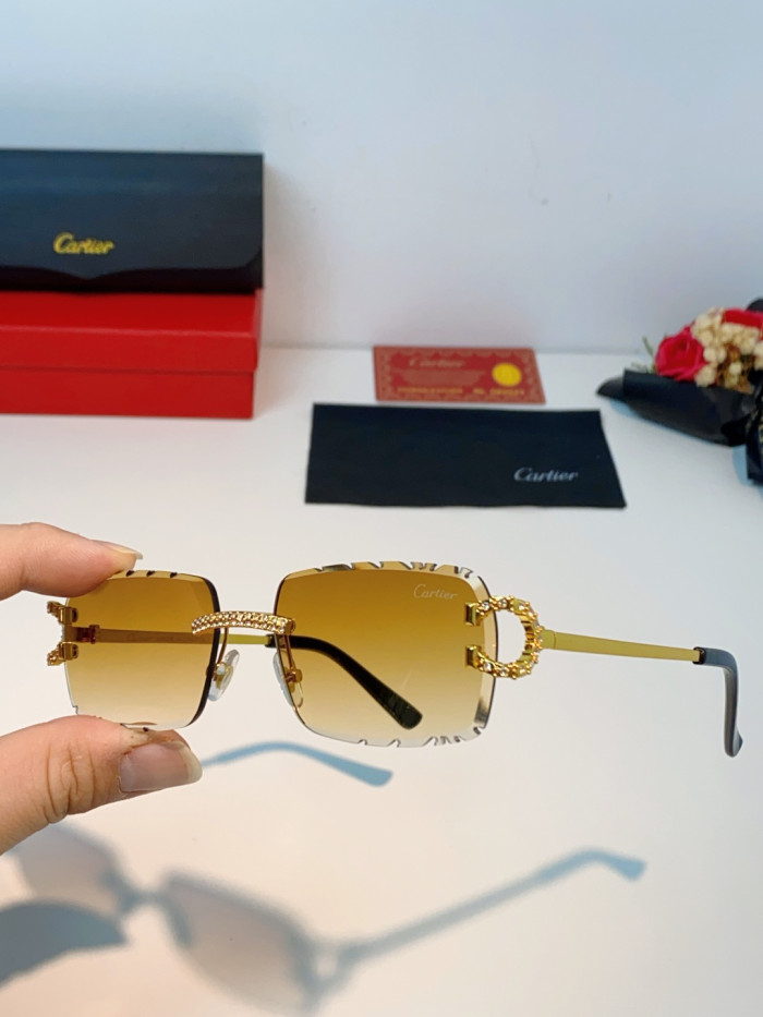 CARTIER SUNGLASSES-59