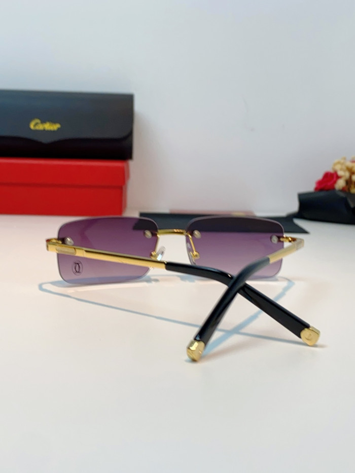CARTIER SUNGLASSES-59