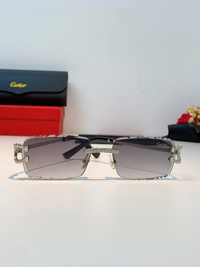 CARTIER SUNGLASSES-59