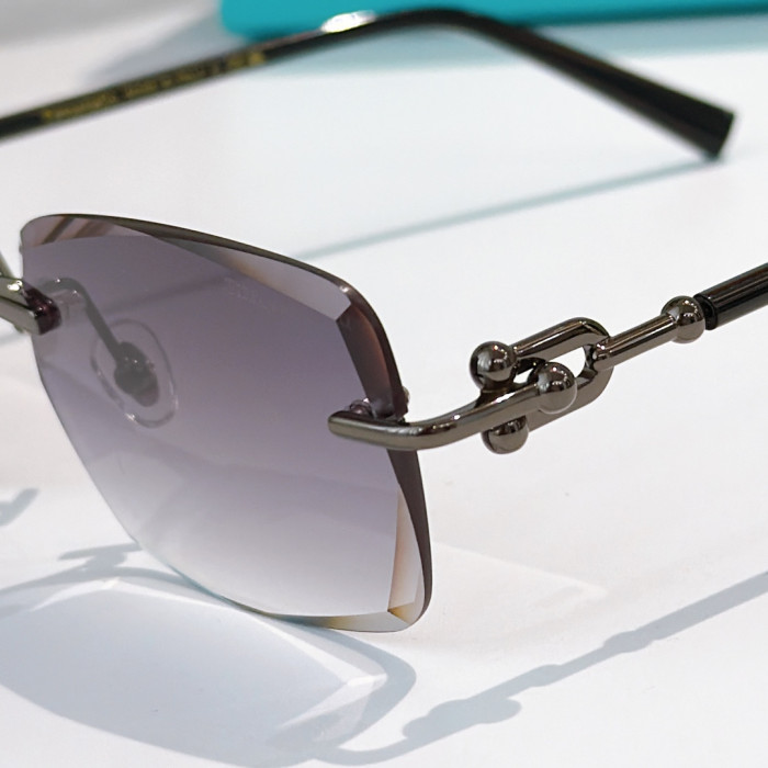 TIFFANY&CO SUNGLASSES-051