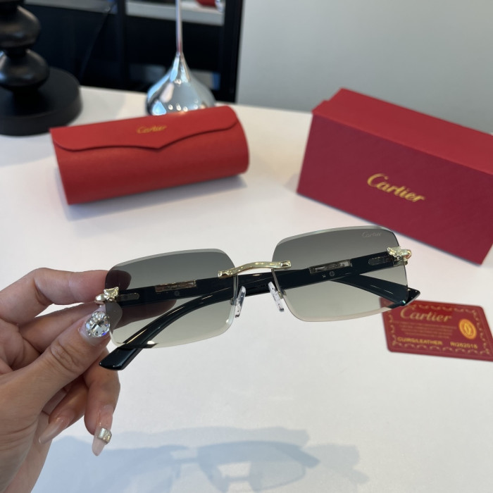CARTIER SUNGLASSES-59