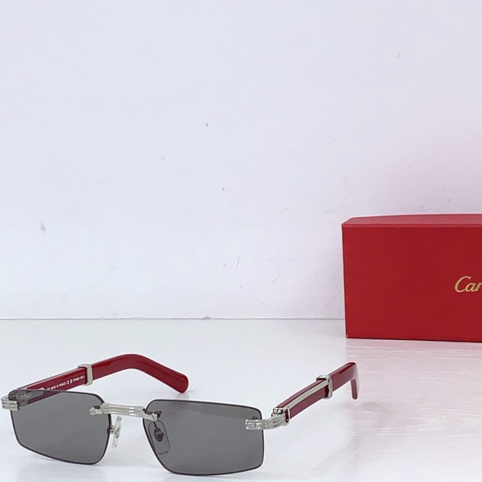 CARTIER  SUNGLASSES-091