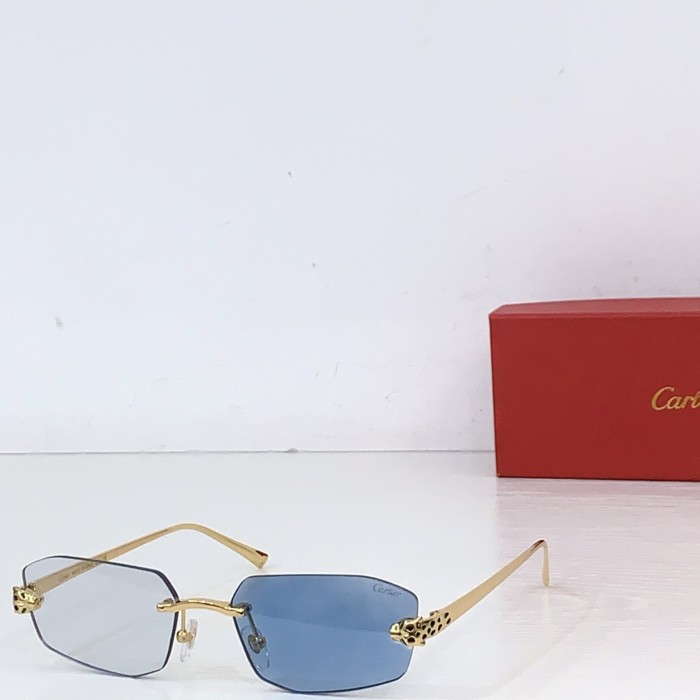CARTIER SUNGLASSES-071