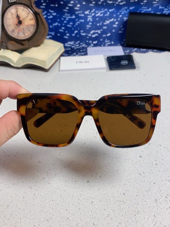 DIOR SUNGLASSES-59