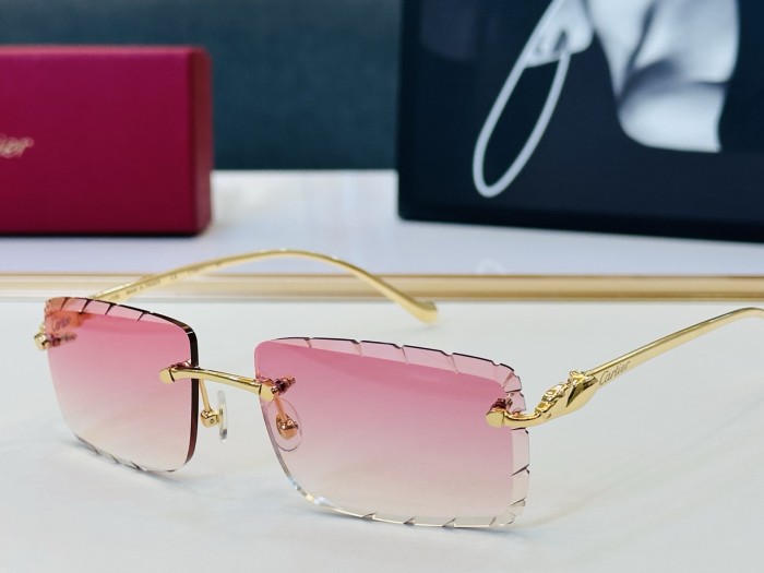 CARTIER  SUNGLASSES-061