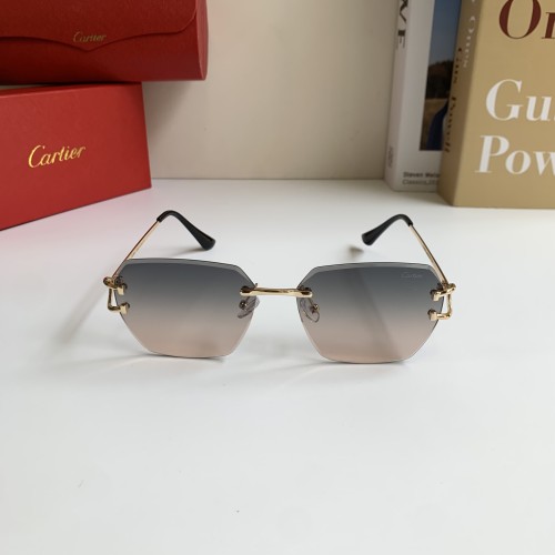 CARTIER  SUNGLASSES-59