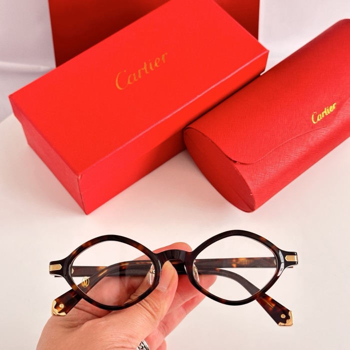 CARTIER  SUNGLASSES-061