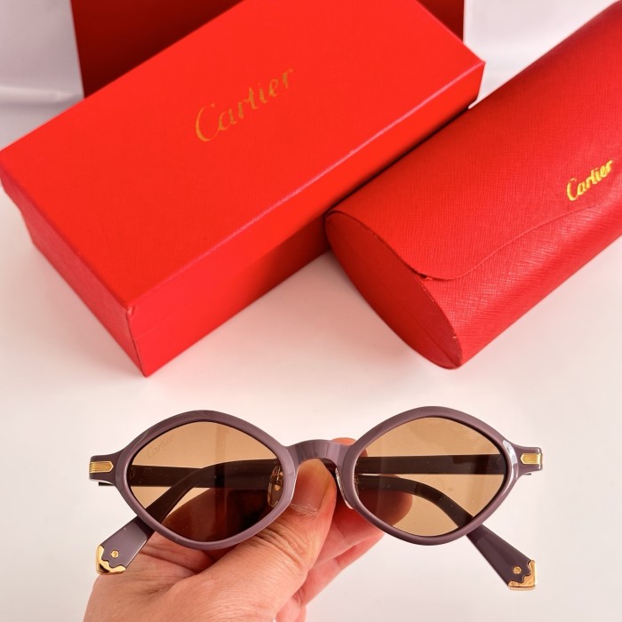 CARTIER  SUNGLASSES-061
