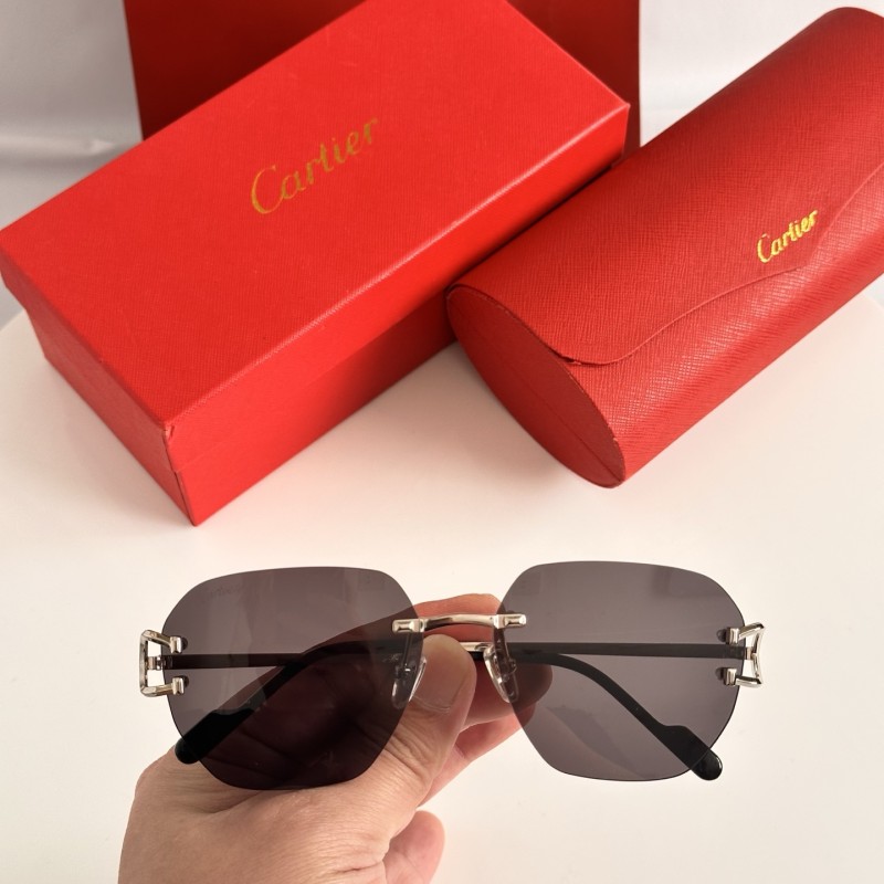 CARTIER  SUNGLASSES-051