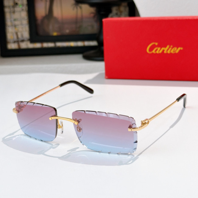 CARTIER SUNGLASSES-061
