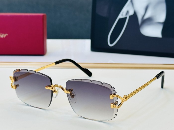 CARTIER  SUNGLASSES-051