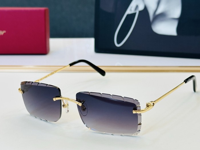 CARTIER  SUNGLASSES-061