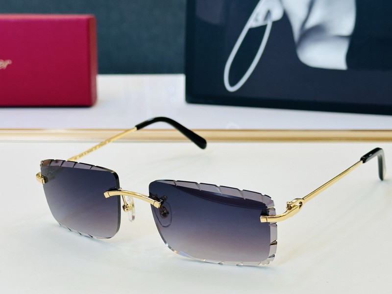 CARTIER  SUNGLASSES-061