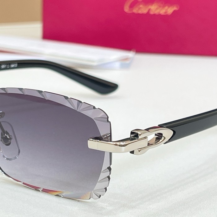 CARTIER SUNGLASSES-071