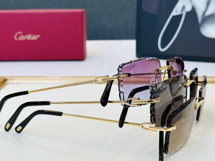 CARTIER  SUNGLASSES-061