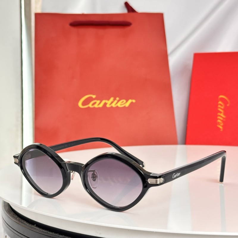 CARTIER  SUNGLASSES-061