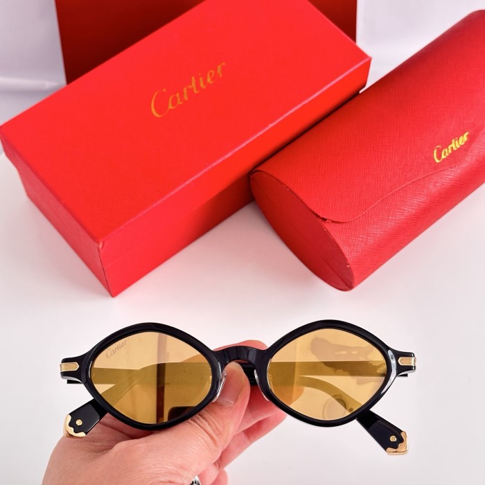 CARTIER  SUNGLASSES-061