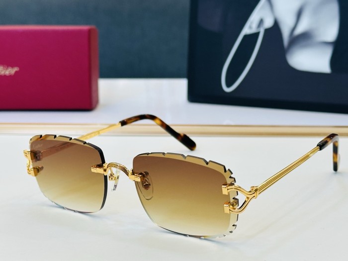 CARTIER  SUNGLASSES-051
