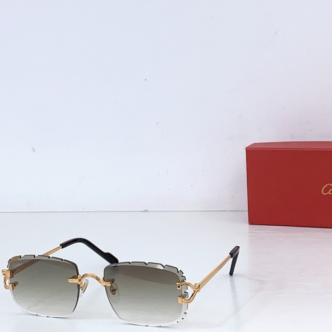 CARTIER  SUNGLASSES-081