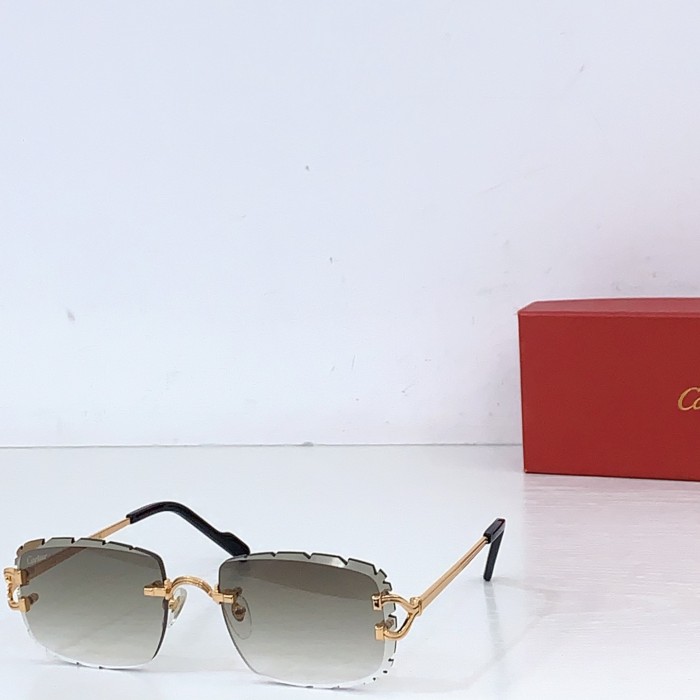 CARTIER  SUNGLASSES-081