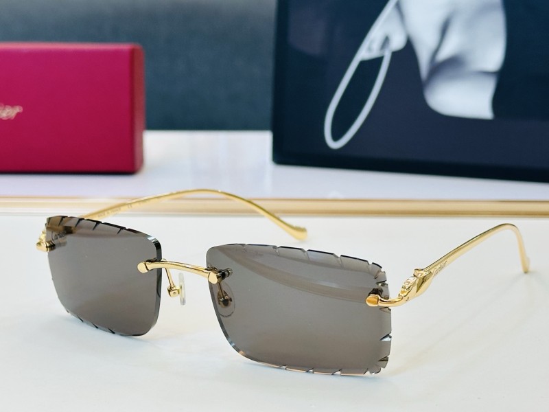 CARTIER  SUNGLASSES-061