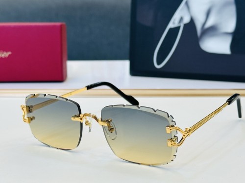 CARTIER  SUNGLASSES-051