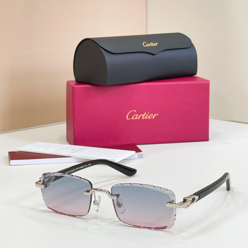 CARTIER SUNGLASSES-071