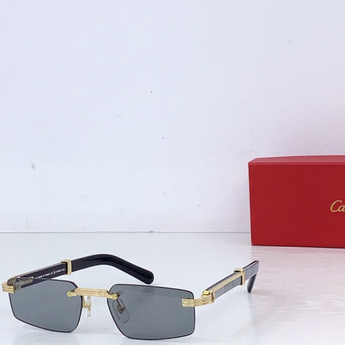 CARTIER  SUNGLASSES-091
