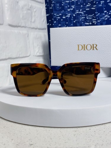 DIOR SUNGLASSES-59