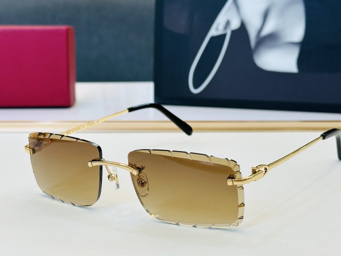 CARTIER  SUNGLASSES-061