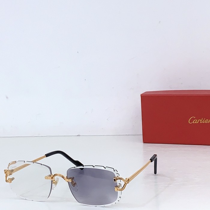 CARTIER  SUNGLASSES-081