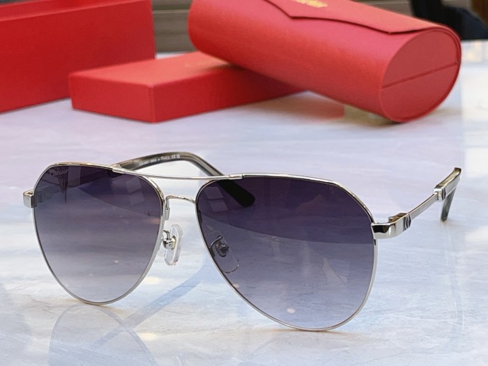 CARTIER SUNGLASSES-041