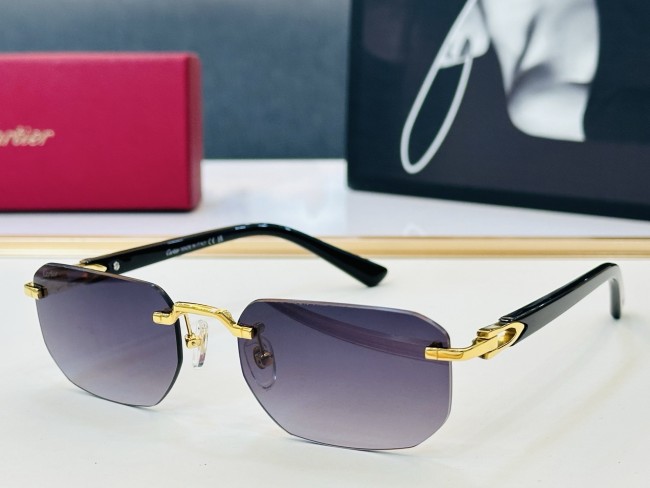 CARTIER SUNGLASSES-041