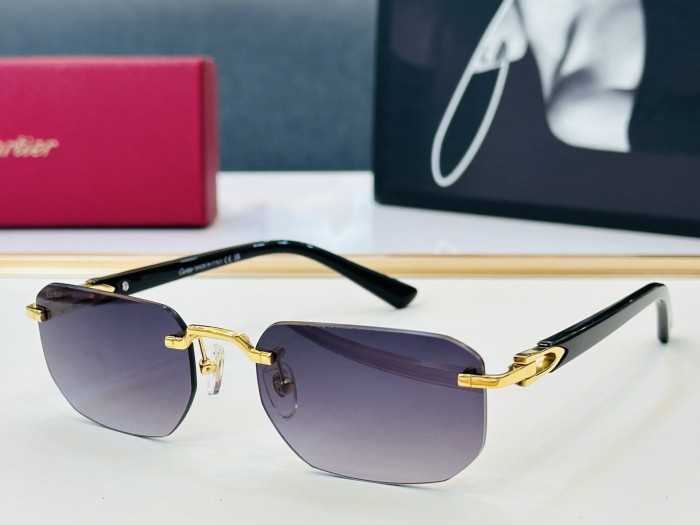 CARTIER SUNGLASSES-041