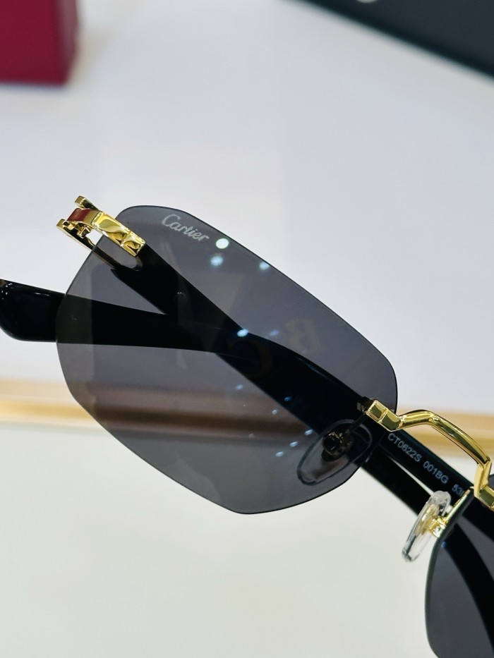 CARTIER SUNGLASSES-041